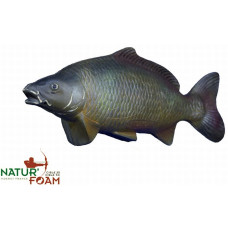 Natur Foam CARP